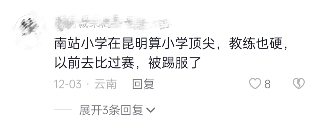 世界杯中国护旗手,世界杯中国云南护旗手