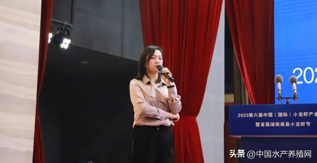 2023年南县小龙虾价格行情,南县小龙虾价格报价