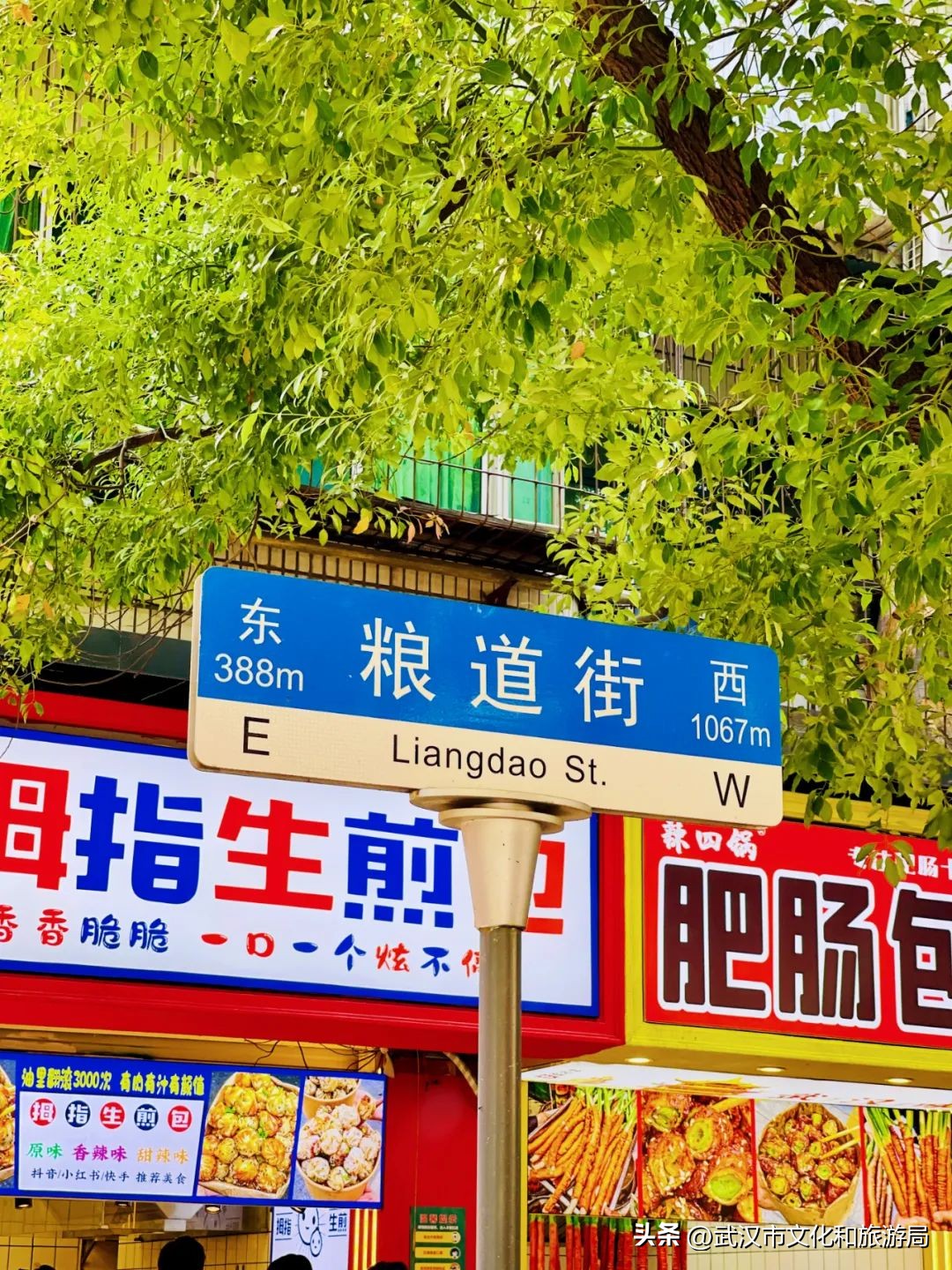 每次去都很「惊艳」的地方是____