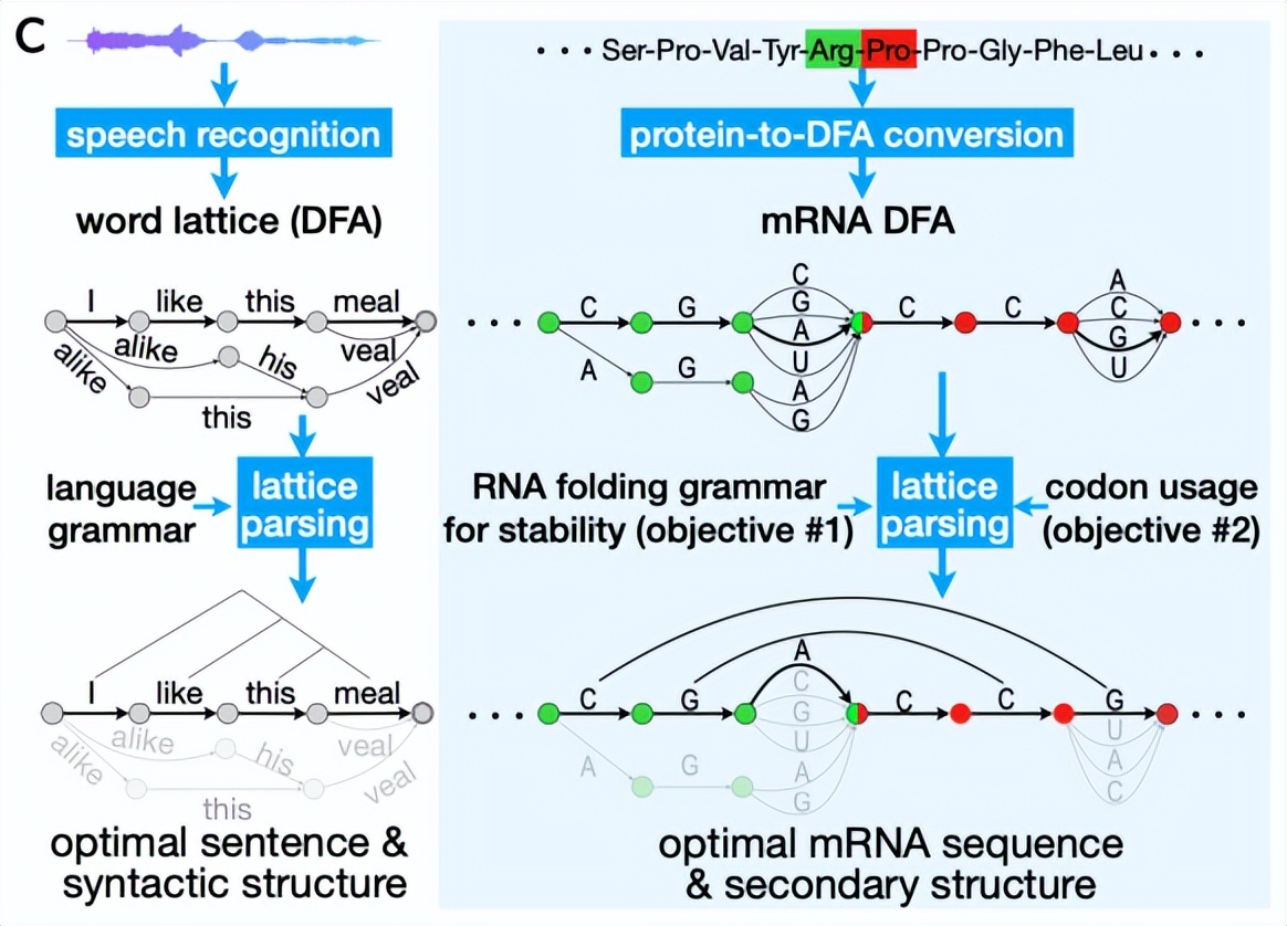 omg是什么原理,omg是什么奇迹