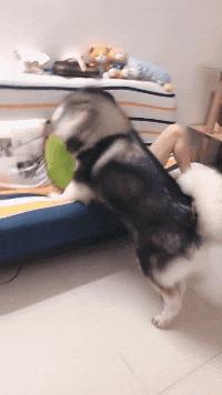 男孩给女孩买卫生巾搞笑视频,男生帮女生买卫生巾爆笑视频