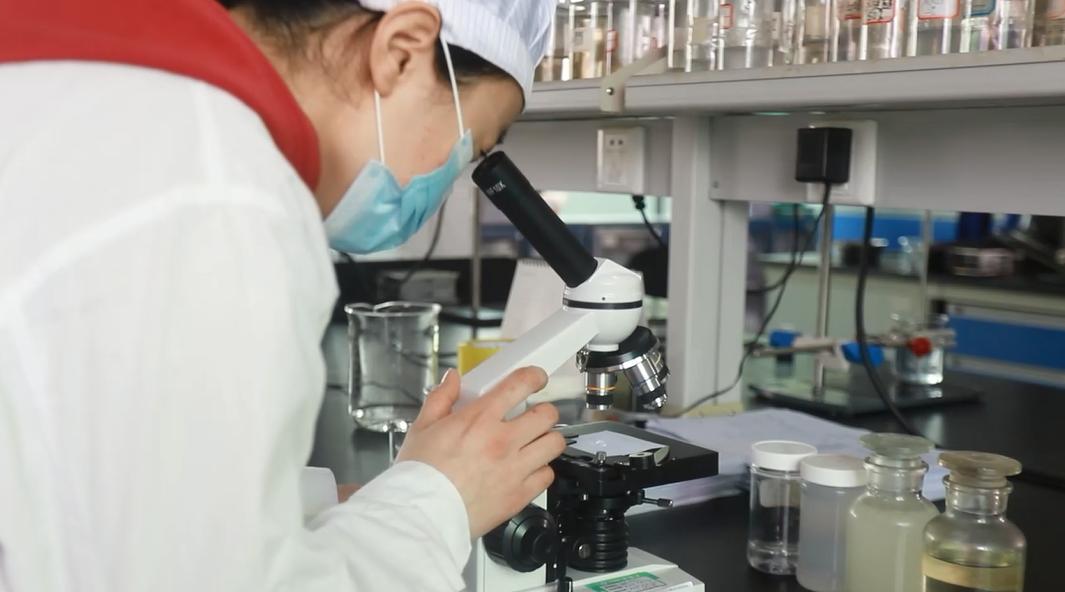 今丝语美颜养发优惠,今丝语品牌