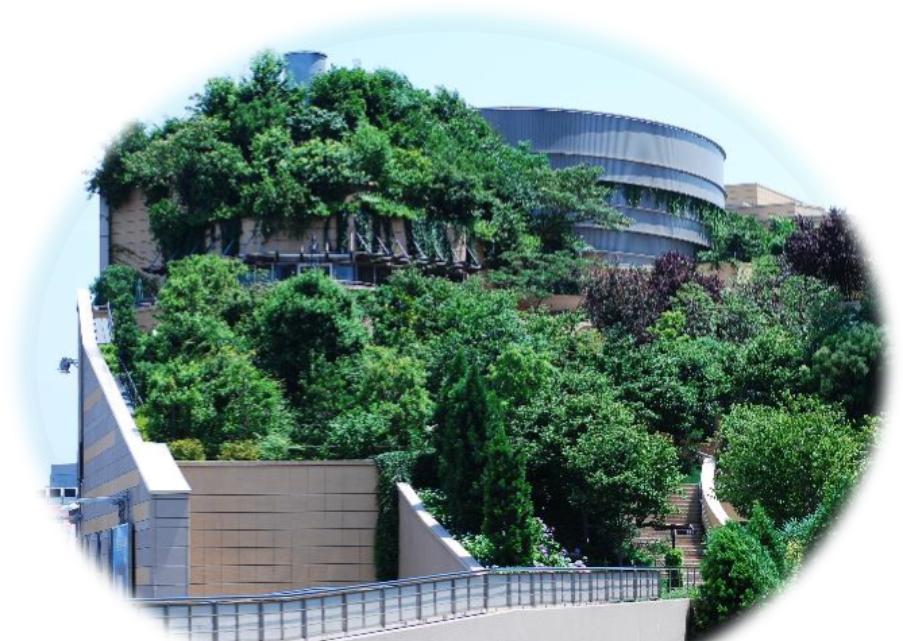 绿化养护多久一次最好,日本人绿化养护