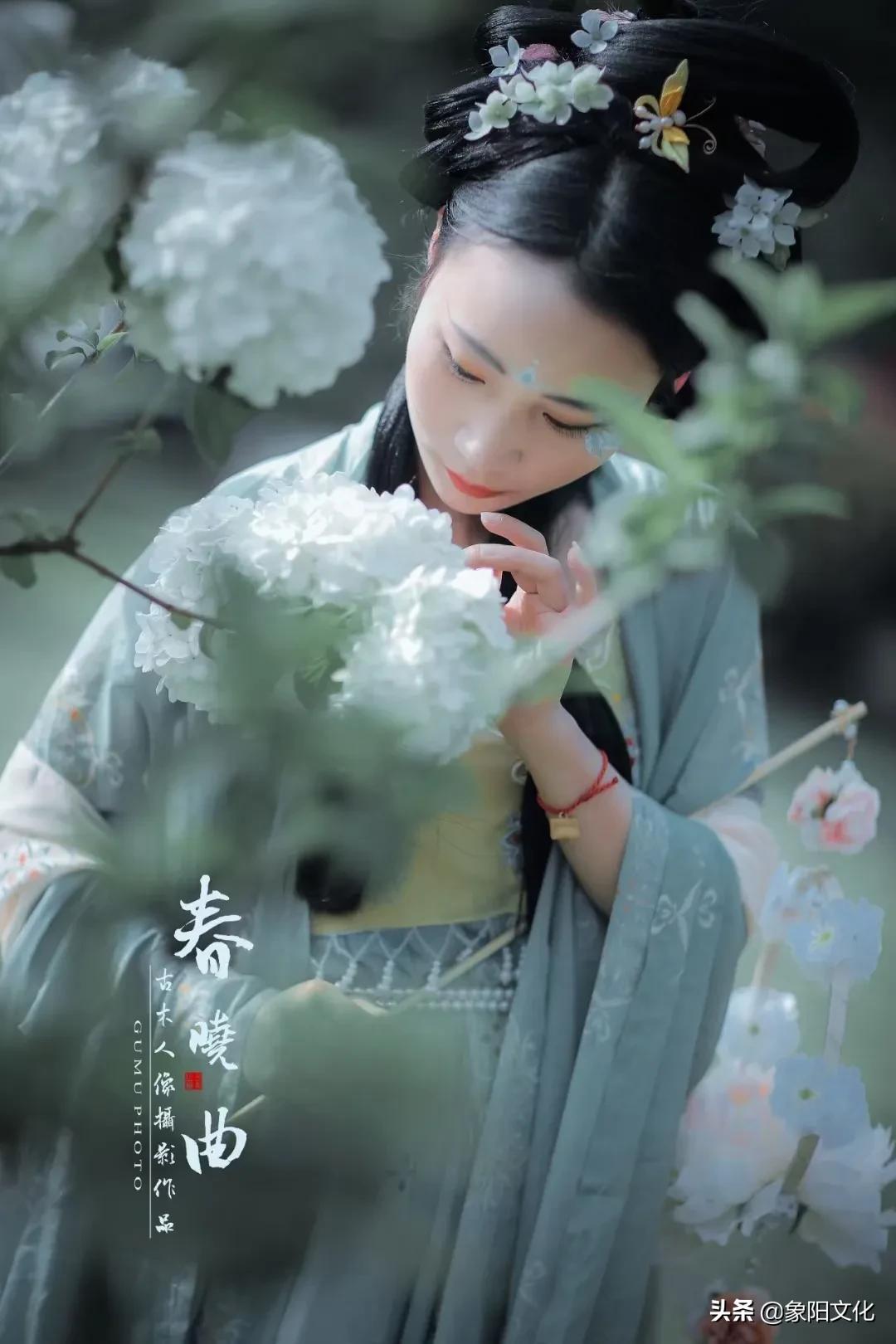 诗词摄影鉴赏,摄影古诗欣赏