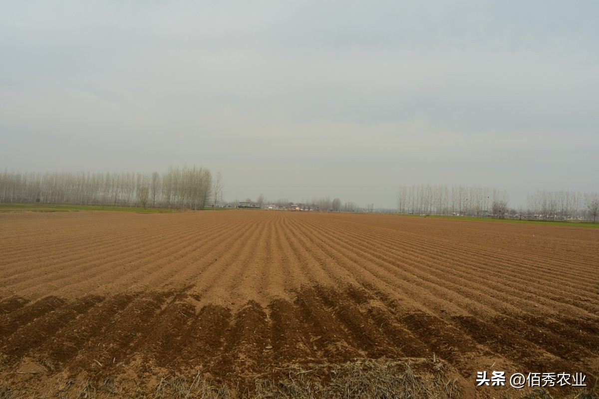 农药降价最新消息,农药降价原因