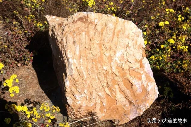 大连金普新区石槽村的那片玫瑰石，你去看过吗？