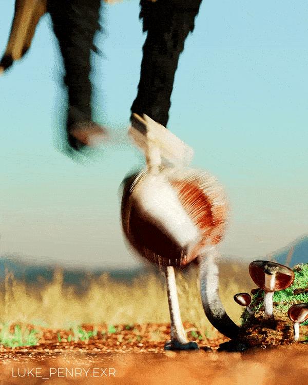 你知道蘑菇为什么会说话吗,蘑菇也会说话