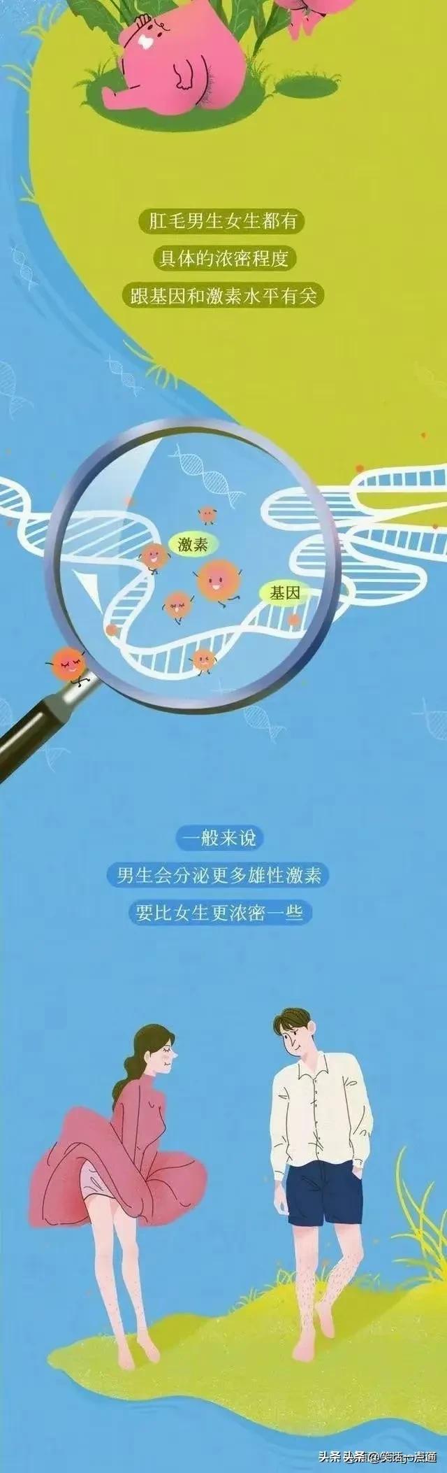 肛门周围为什么会长“毛”？可以刮掉吗？（漫画）