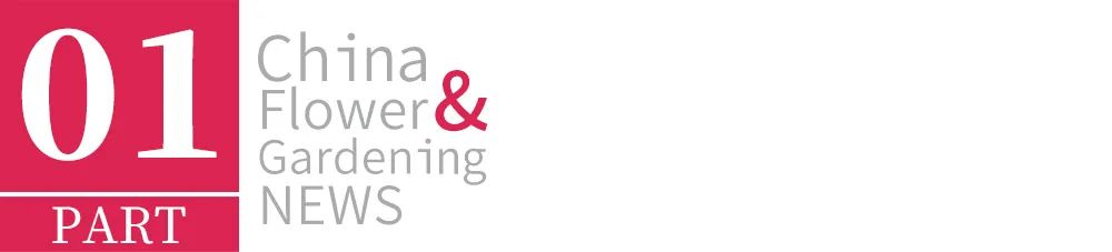 直播间四万人同时在线，企业年销售额过亿，多肉还能再火十年吗？