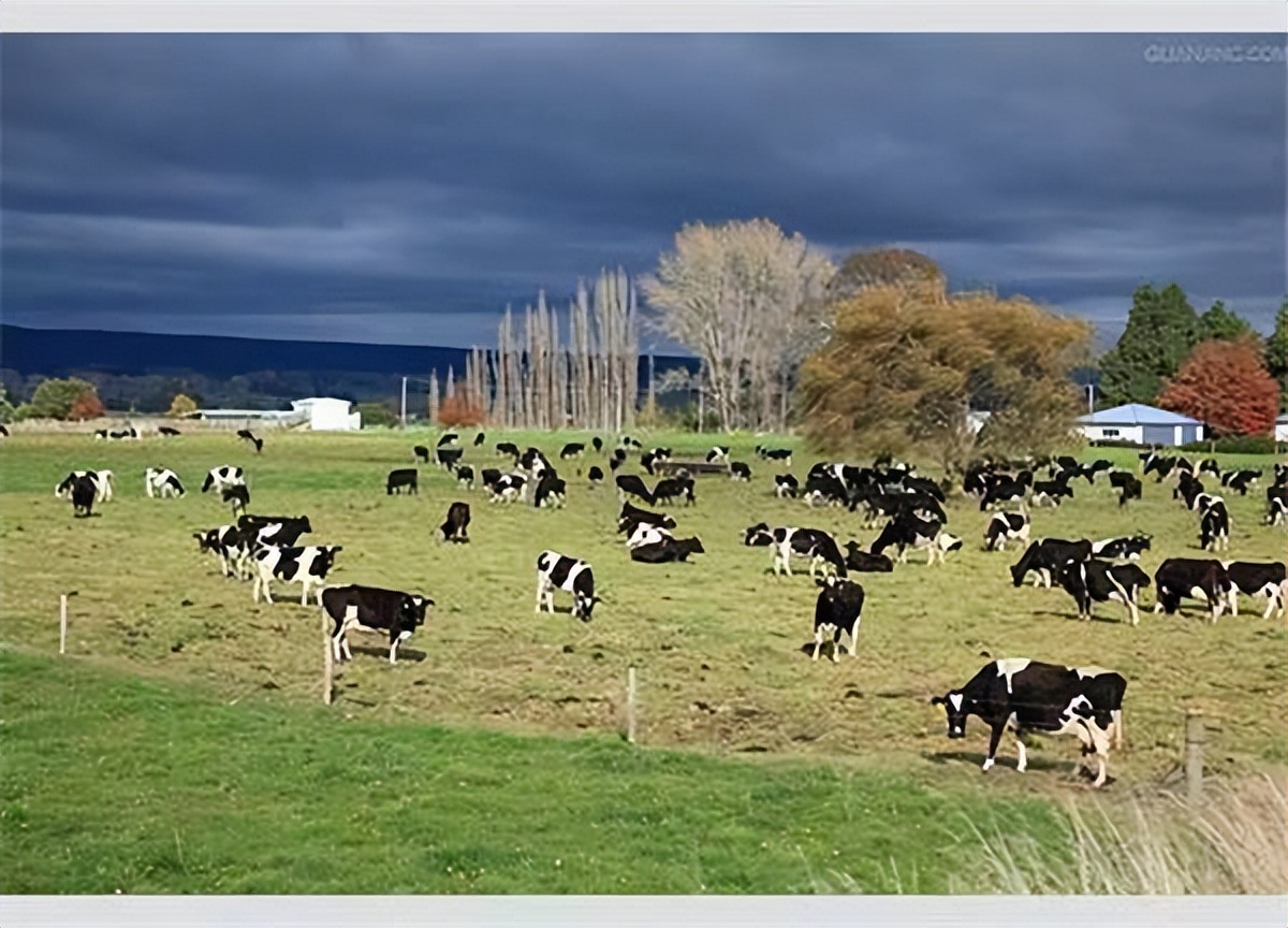 中国人没白人高比日本人矮！事实果真如此吗？别再被谣言给骗了