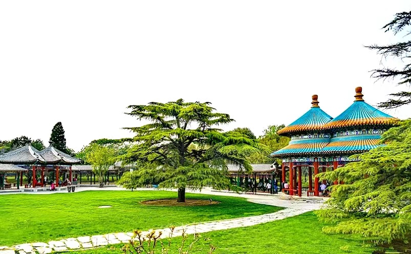 北京必须去的几个地方旅游景点,去北京旅游必去的十个景点