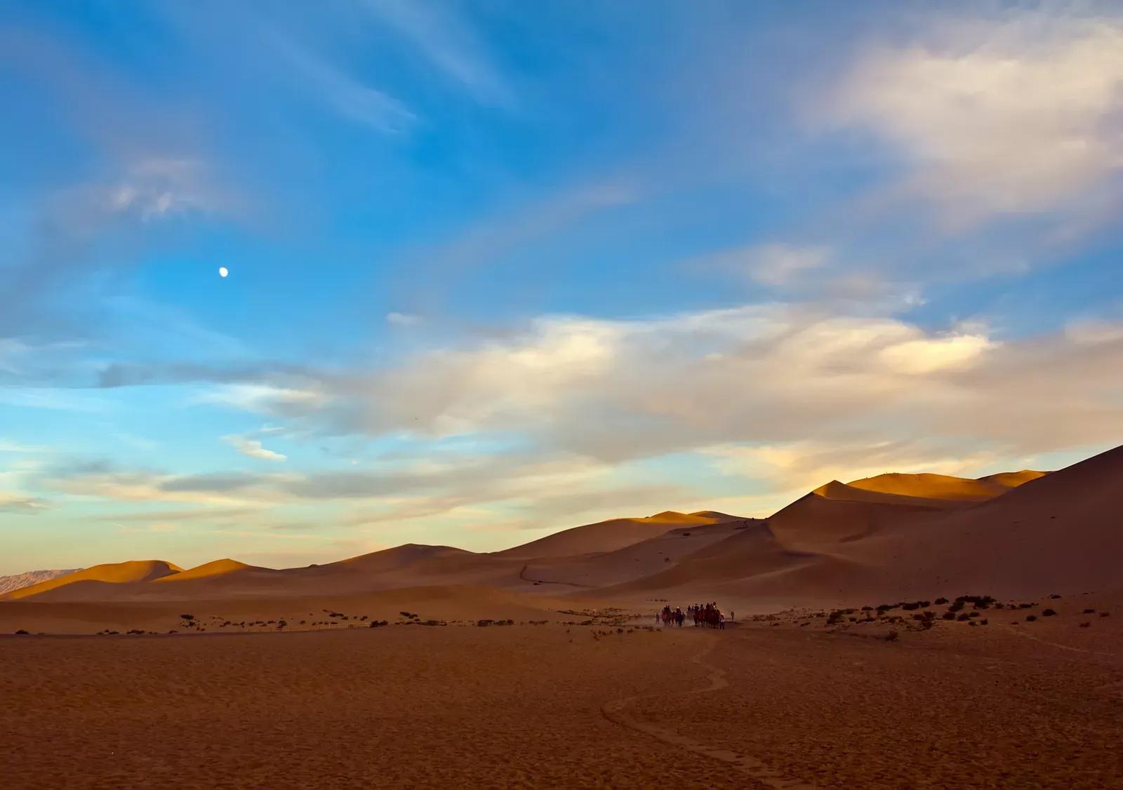 狭路相逢勇者胜,狭路相逢勇者胜游戏