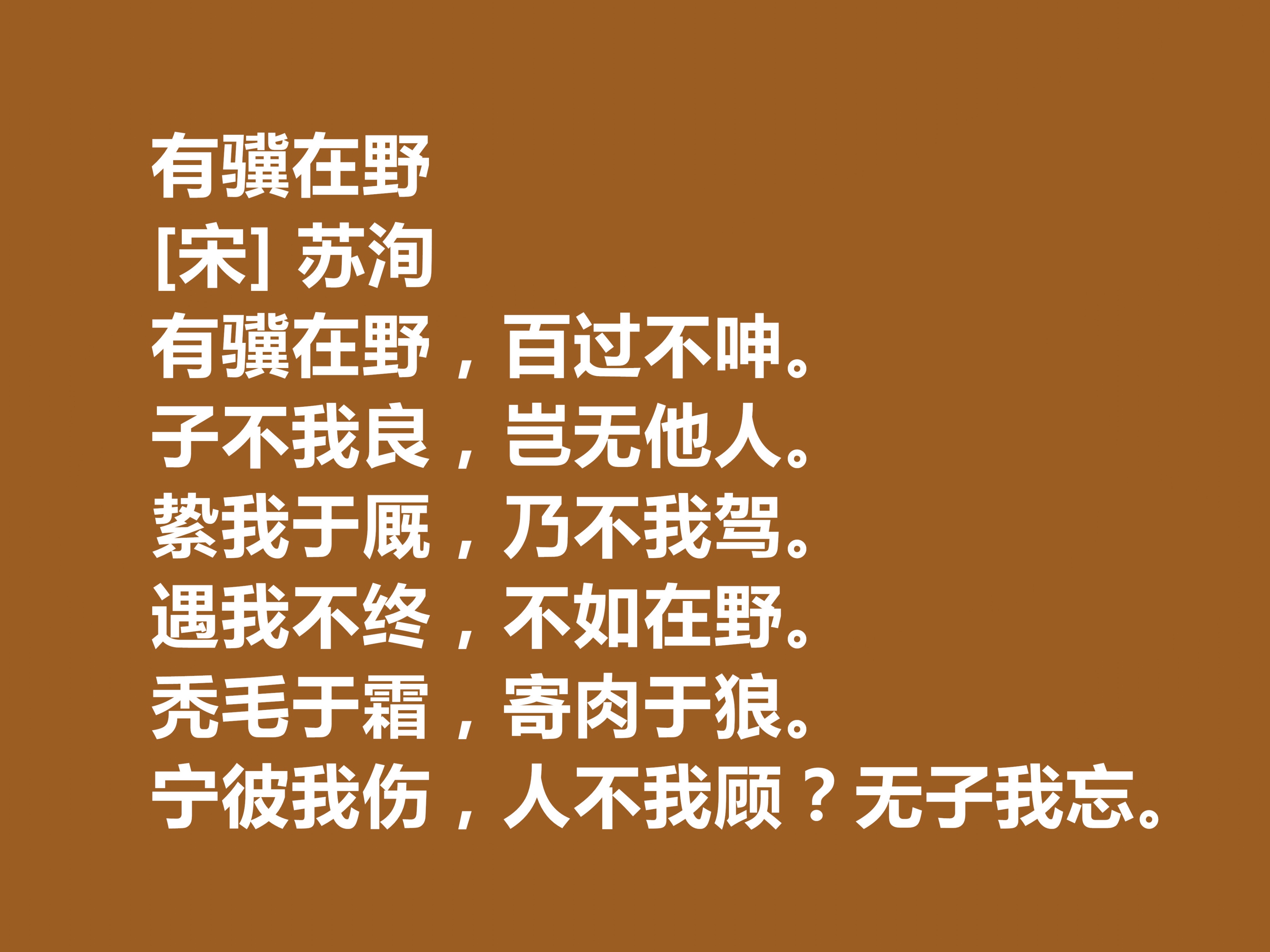 宋代苏洵最著名的诗,苏洵有哪些诗令你印象深刻