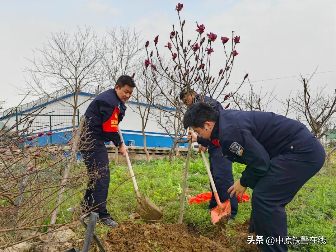 拥抱春天播种希望植树节手抄报,植树节拥抱春天播种梦想主题班会