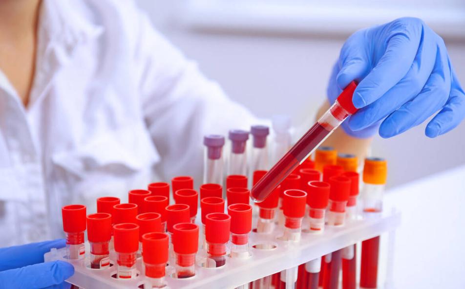 心跳快慢跟寿命有直接关系吗,心跳快慢竟与寿命长短有关吗