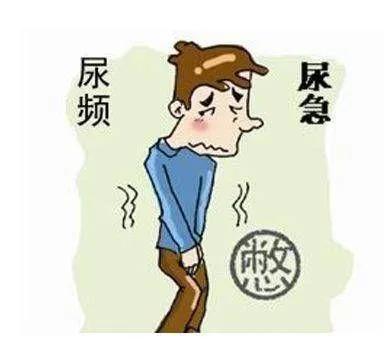 遇风尿频怎么办?试试金匮肾气丸合五子衍宗丸