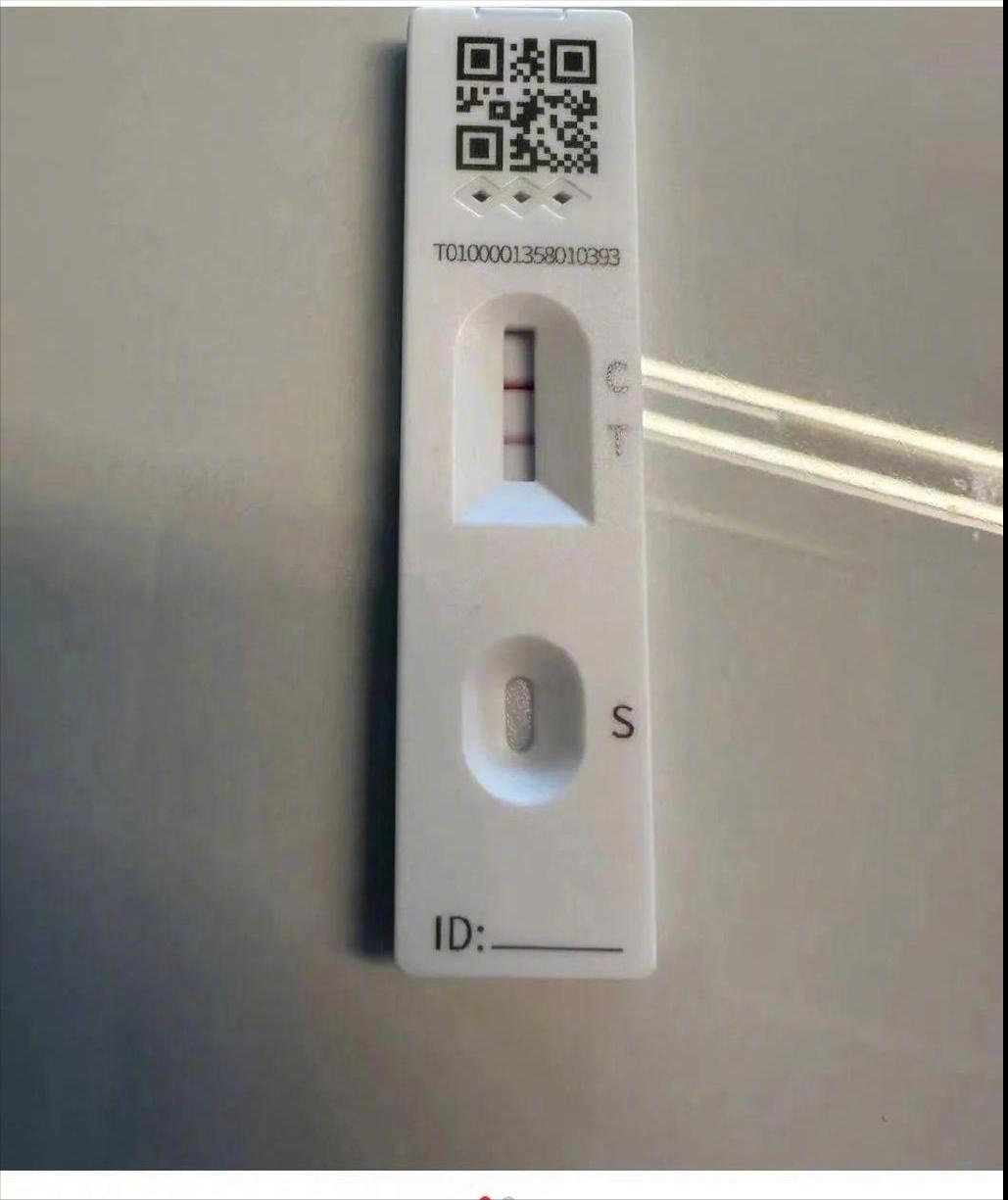 4月24日新闻联播内容,4月4号的新闻联播视频
