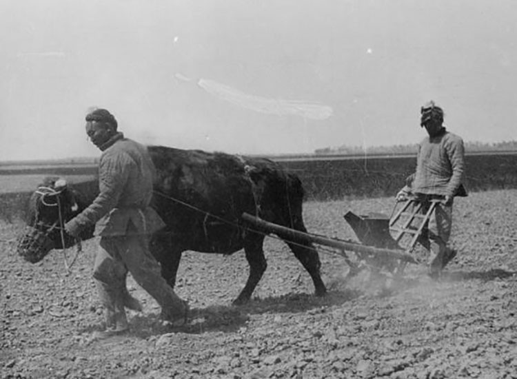 扁担少将龙开富：保卫毛主席18年，叶帅得知遗言后批准葬入八宝山