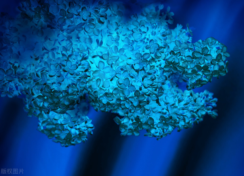 十六首诗词中的更漏，用法百变，是婉约诗词中的最佳道具