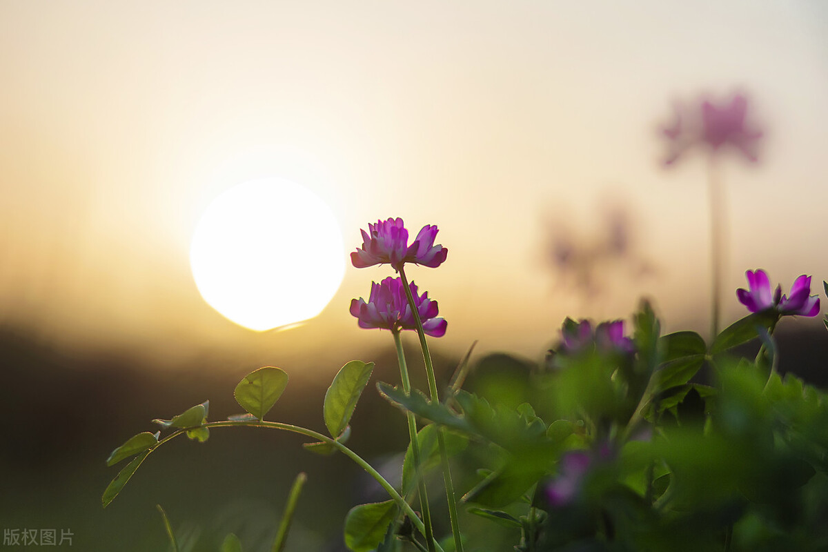 倾听流水的声音,倾听自然的声音