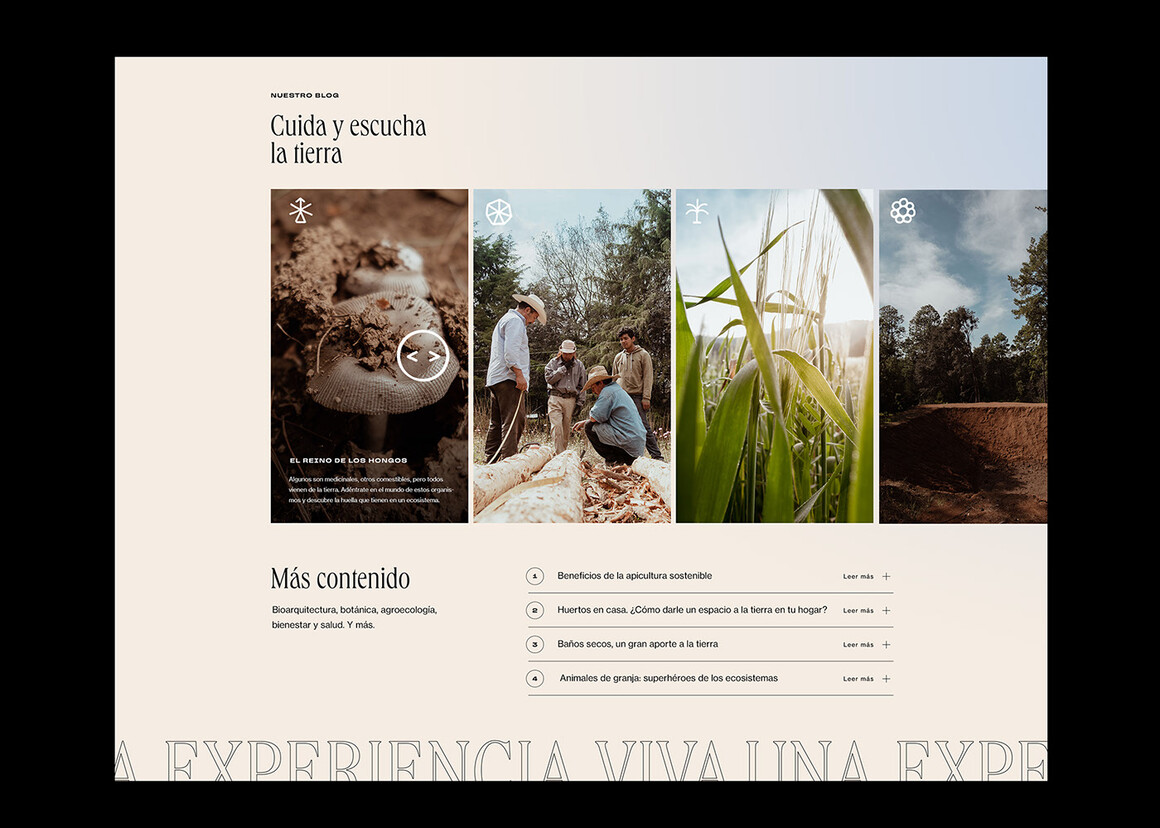 缁煎悎椁愬巺logo鍒涙剰璁捐,闊充箰椁愬巺logo璁捐