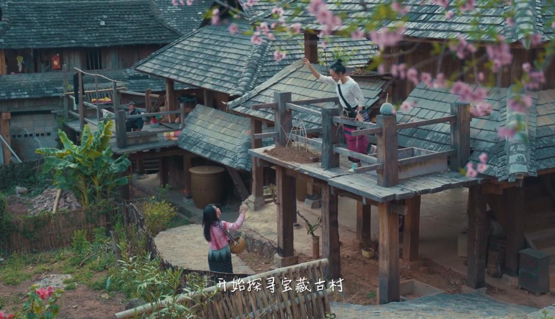 云南姑娘返乡苦学短视频，直播间带火本地咖啡，免费教2000个家乡大学生做自媒体