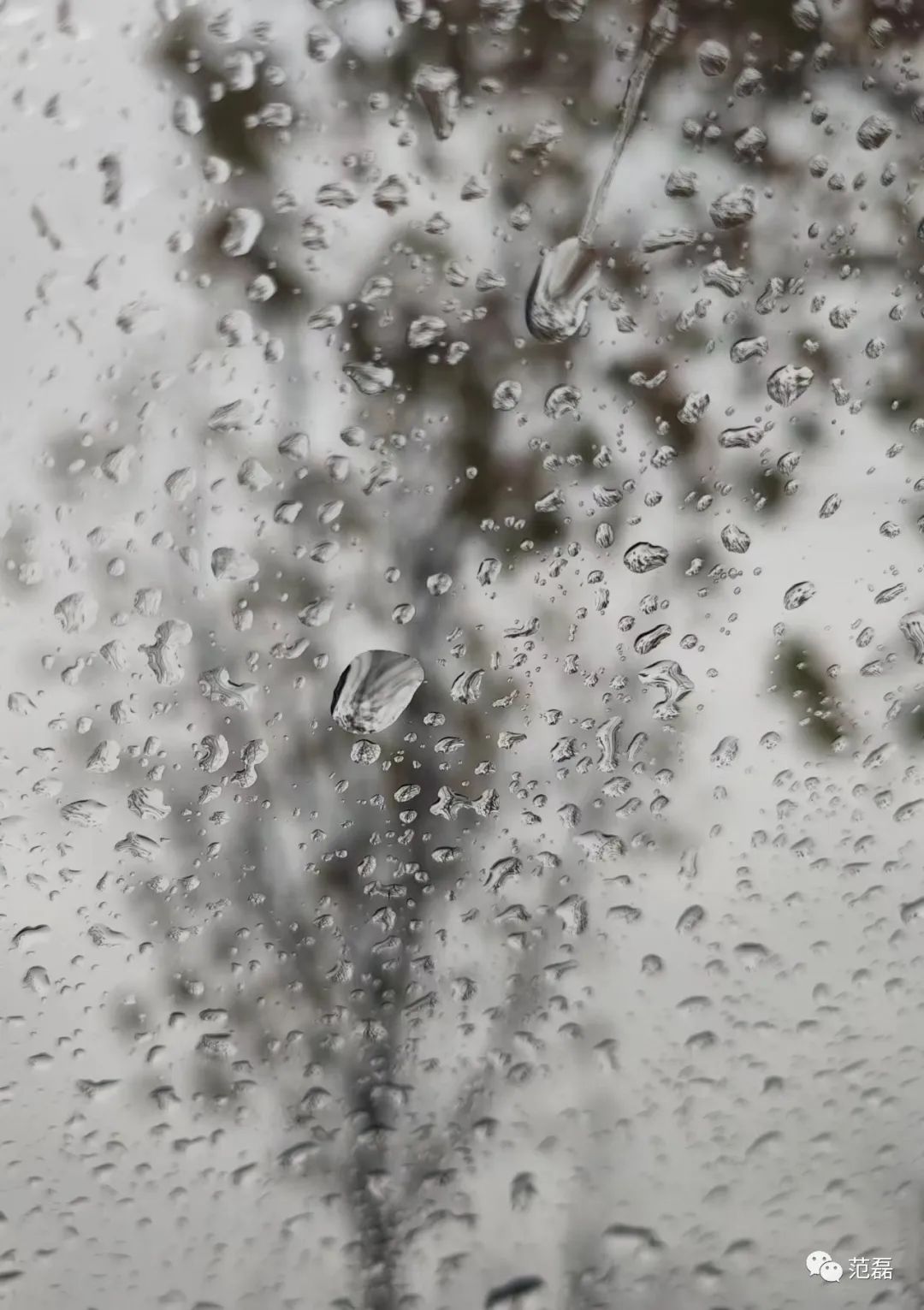 新手单反相机购买怎么不被坑,新手小白单反相机避坑