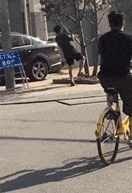 神回复够肉了吗,神回复年龄问题