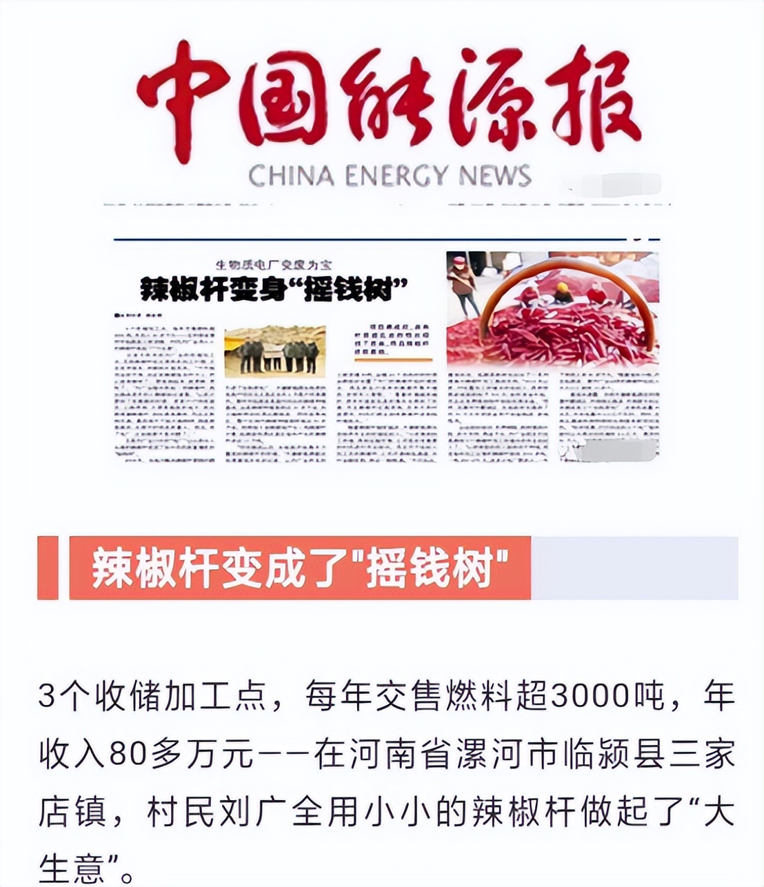 2023年禁止农村养猪狗鸡?官方发文,透露藏在农村的3大暴利行业