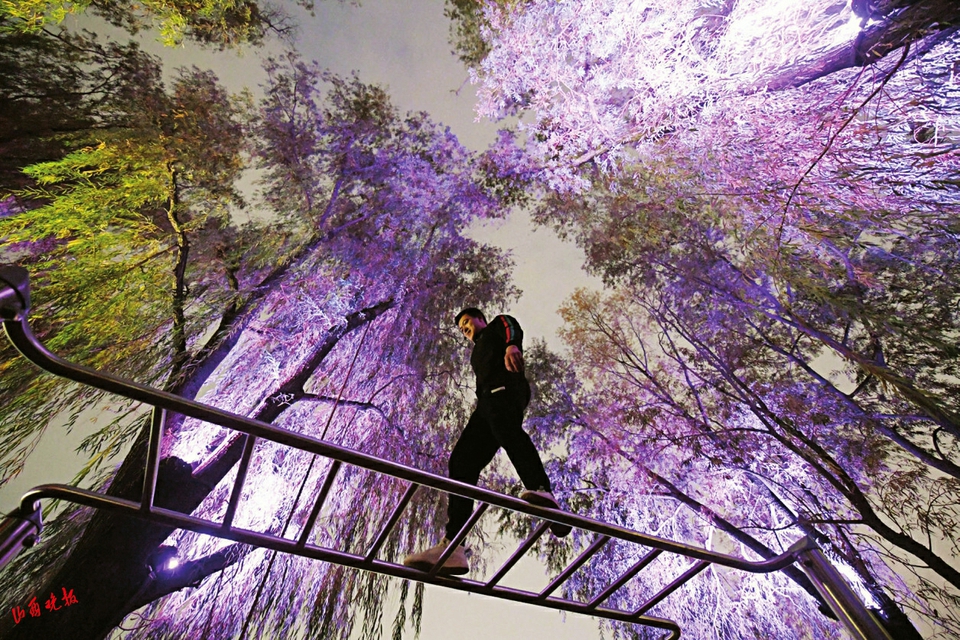 太原：“撸”杠花样多健身乐其中