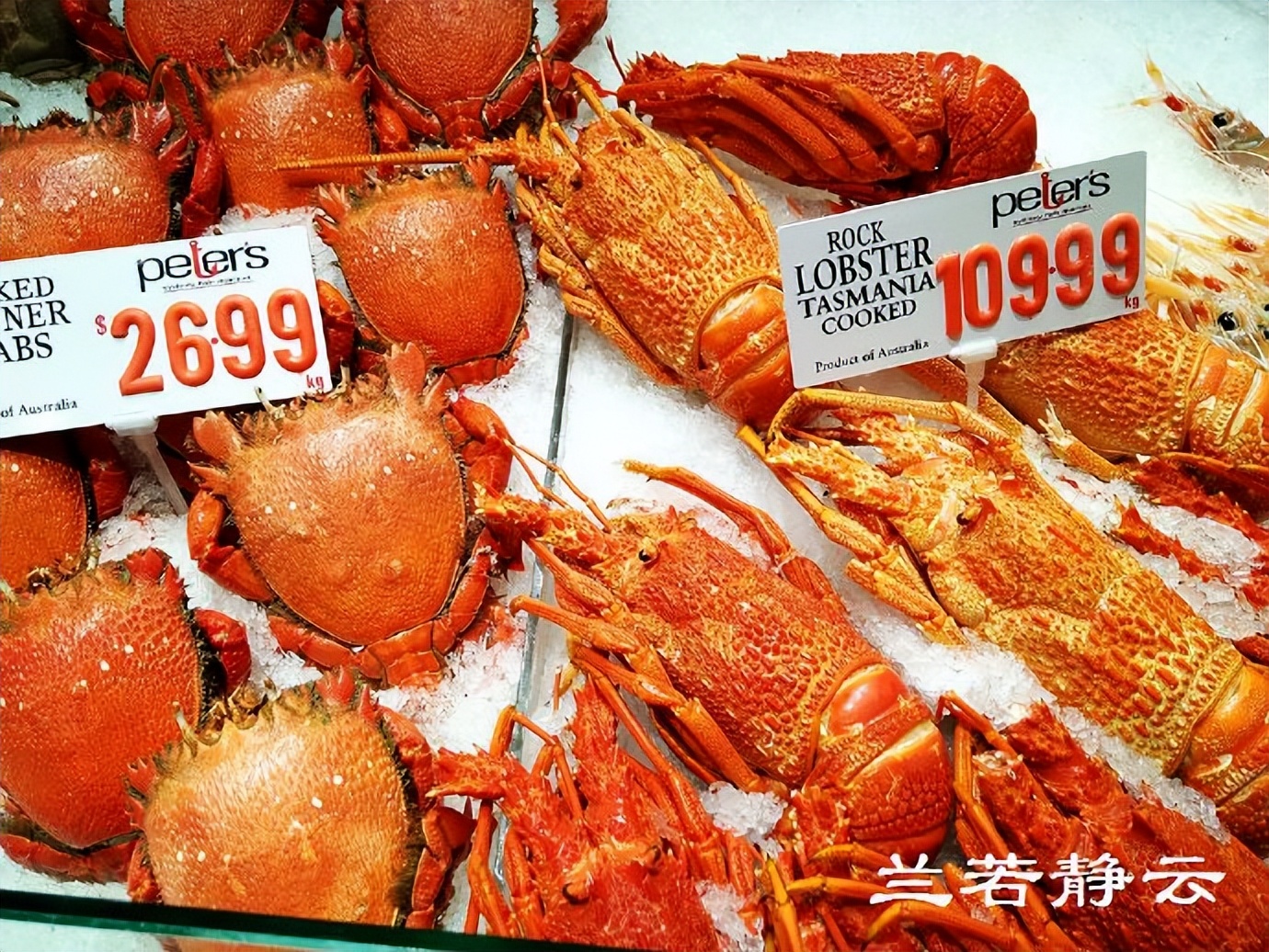 悉尼最大的海鲜鱼市场在哪里,海鲜市场澳洲龙虾