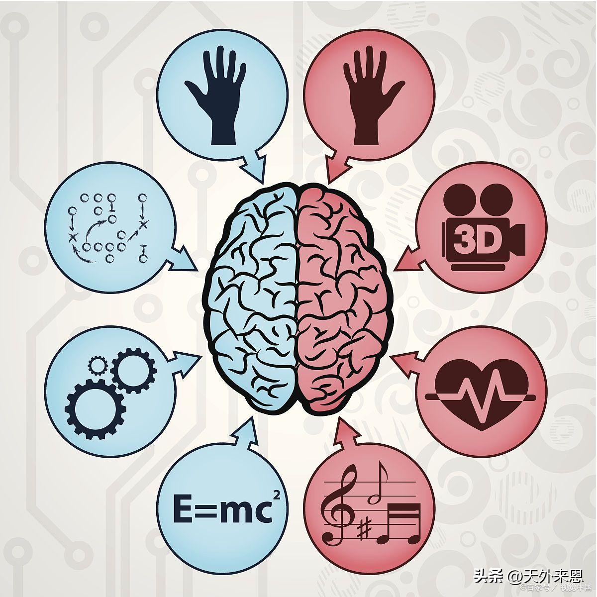 左脑思维和右脑思维的区别,人类的左脑更聪明还是右脑更聪明