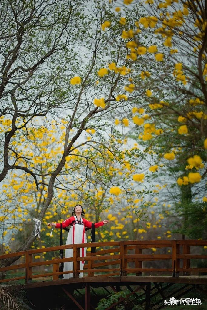 花仙子风铃,风铃花仙子