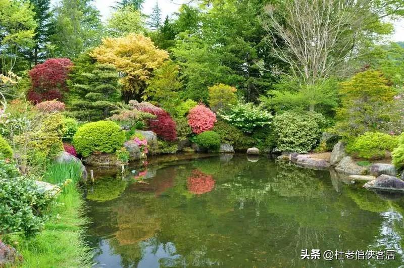 日本忍野八海值得去吗,忍野八海游玩