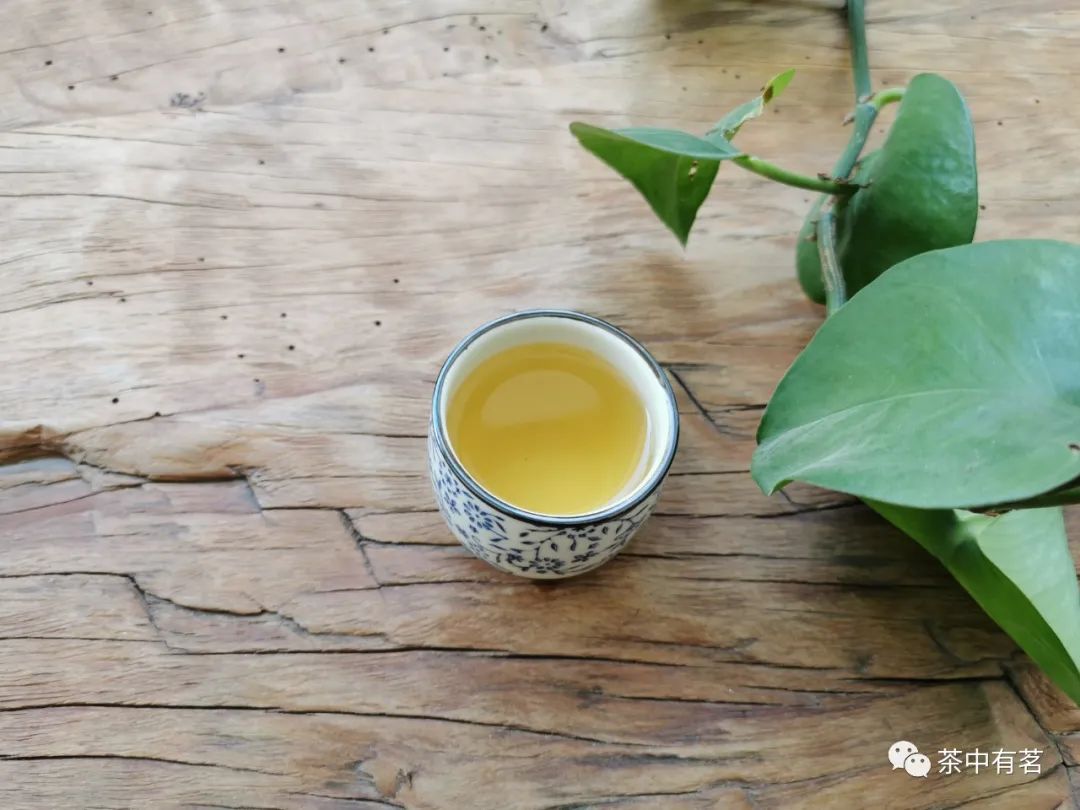 螃蟹脚普洱生茶口感描述,正气塘古树普洱生茶口感