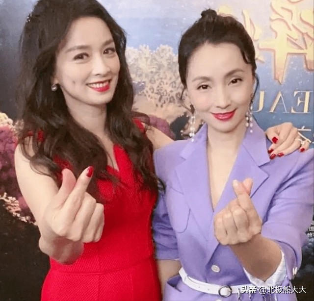 陶虹涉传销案涉及多少人,传销案陶虹