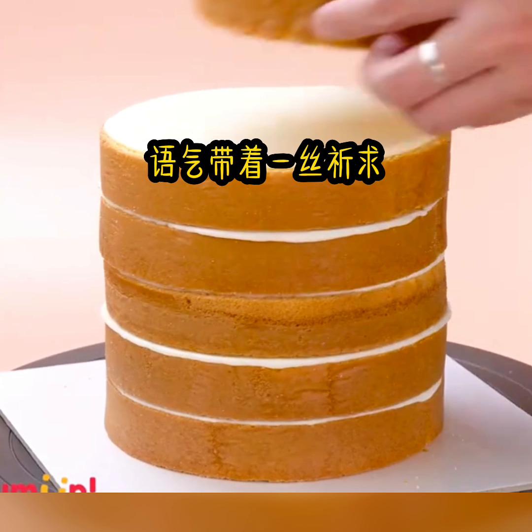 海豚故事会口令,海豚故事小程序进入口令