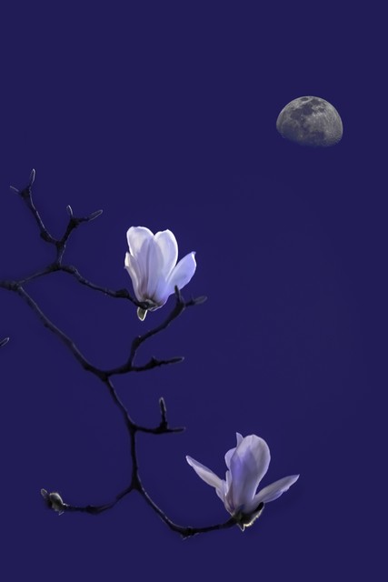 励志正能量句子摘抄大全,励志正能量句子经典短句