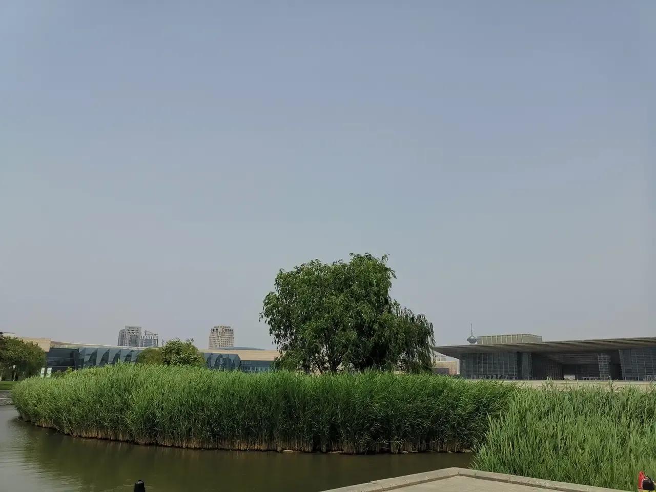 天津文化中心哪些免费,天津文化中心有几个博物馆