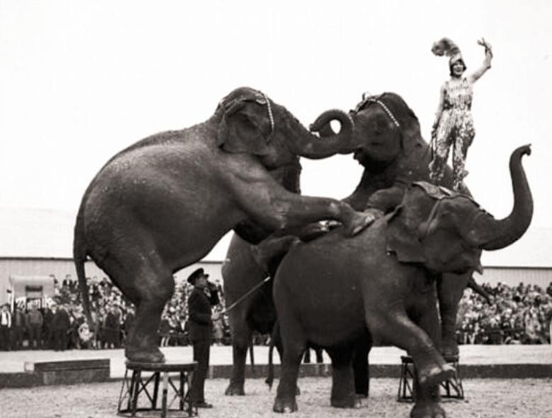 唯一被绞刑的人,唯一被凌迟处死的人