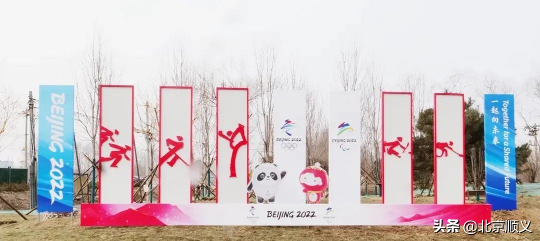 全力以赴做好赛事承办,全力以赴北京冬奥会