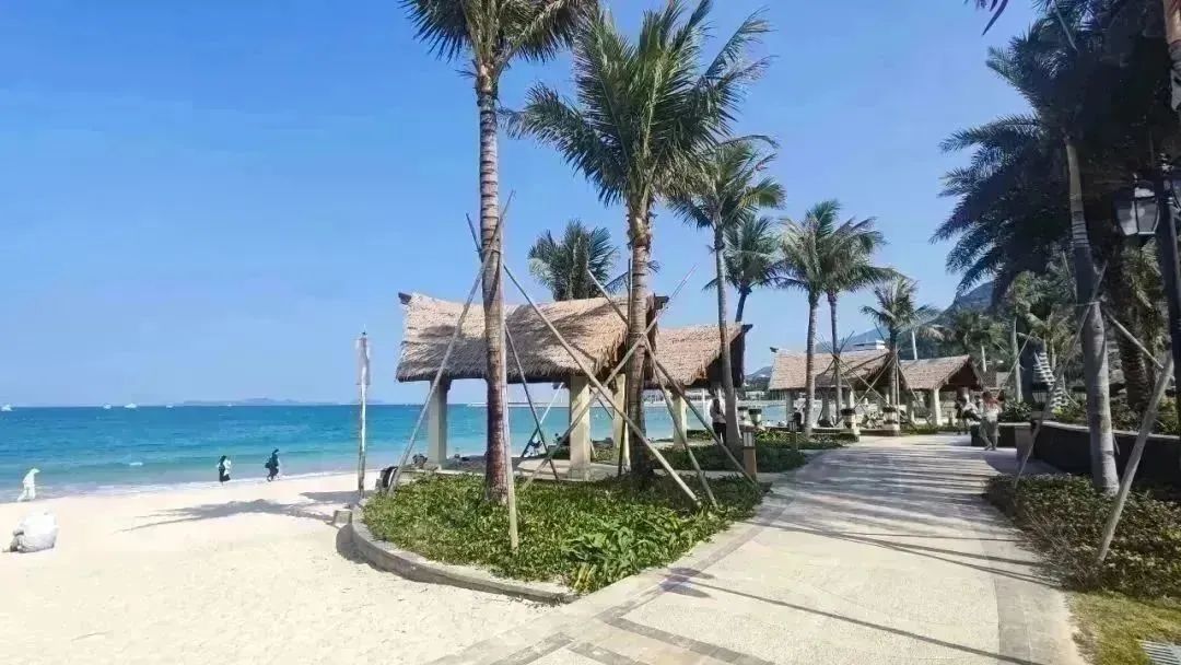 深圳市荔枝公园一日游,深圳2天1夜旅行攻略