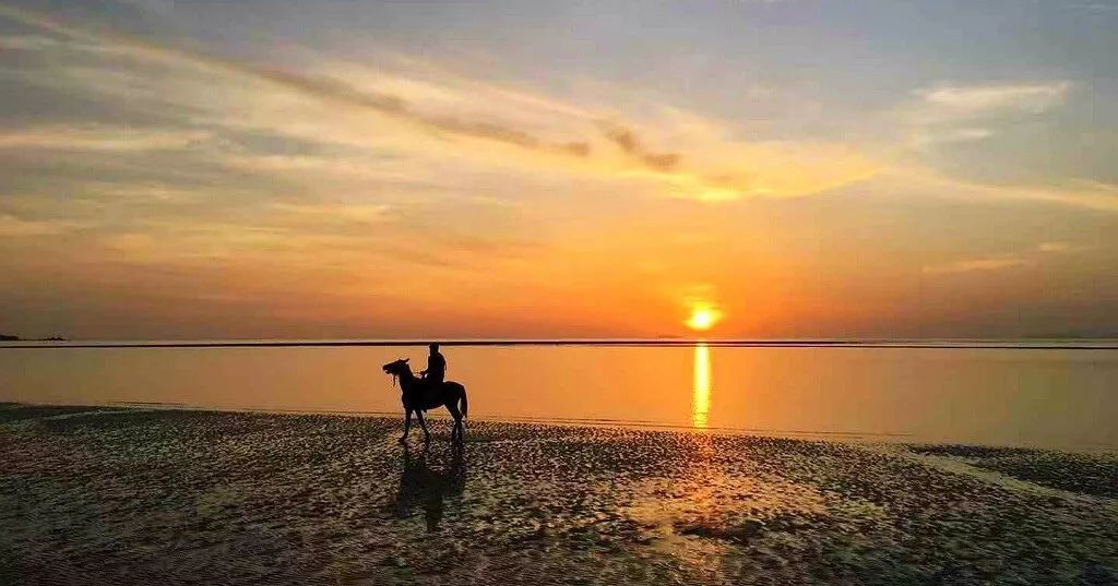 2023华杯赛夏令营,华誉外交官