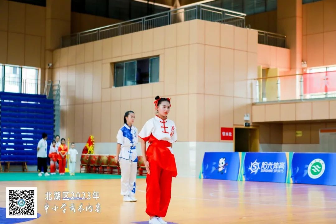 南燕小学,郴州市南燕小学成绩排名