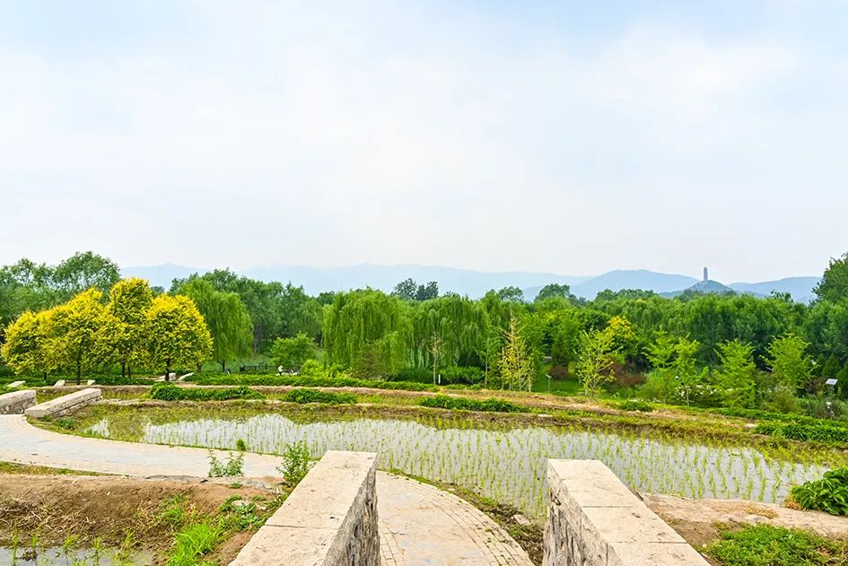 北京免费景美公园大全,北京这个公园也很美