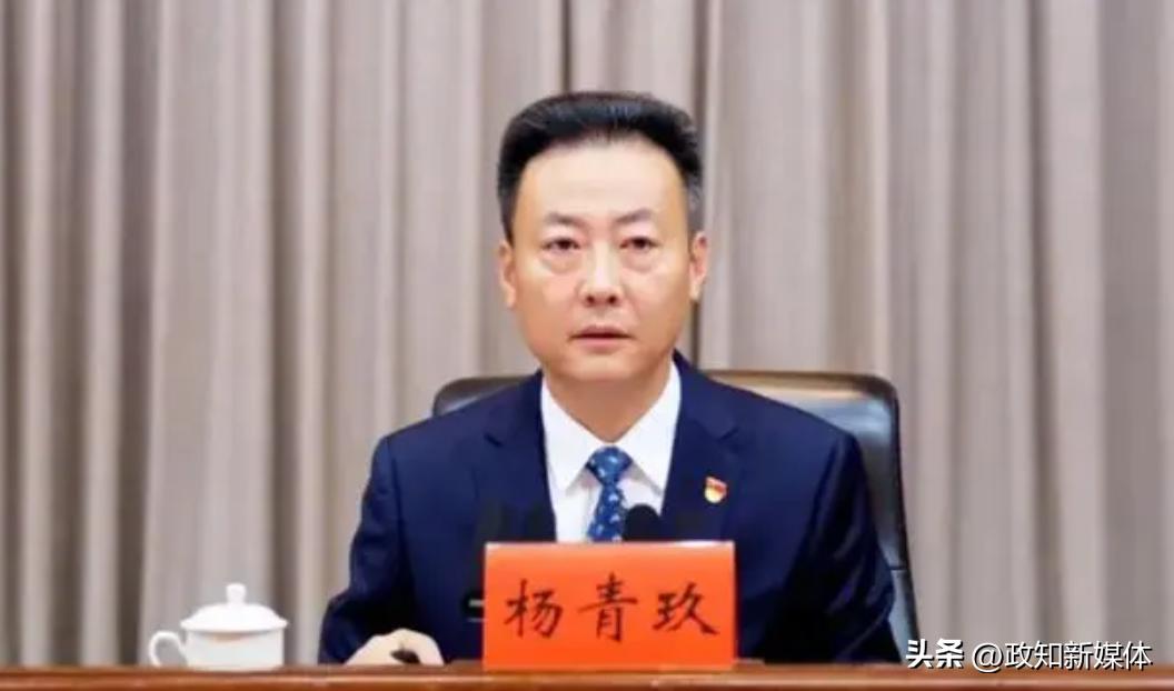 全国31个省区市公安厅厅长是谁,最新31省公安厅厅长