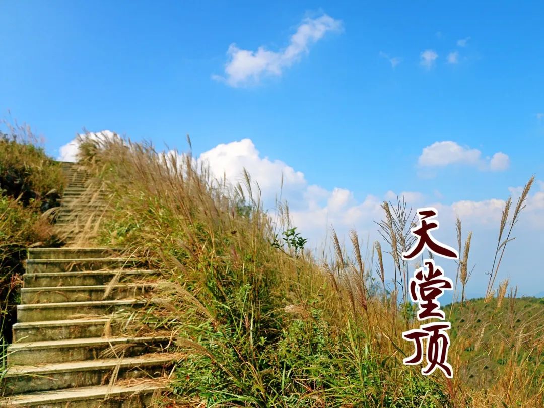 广州从化第一峰天堂顶,广州第一峰从化