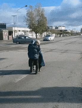 哈哈笑抽了，现在全网都知道他被绿了，网友：头上顶着青青草原