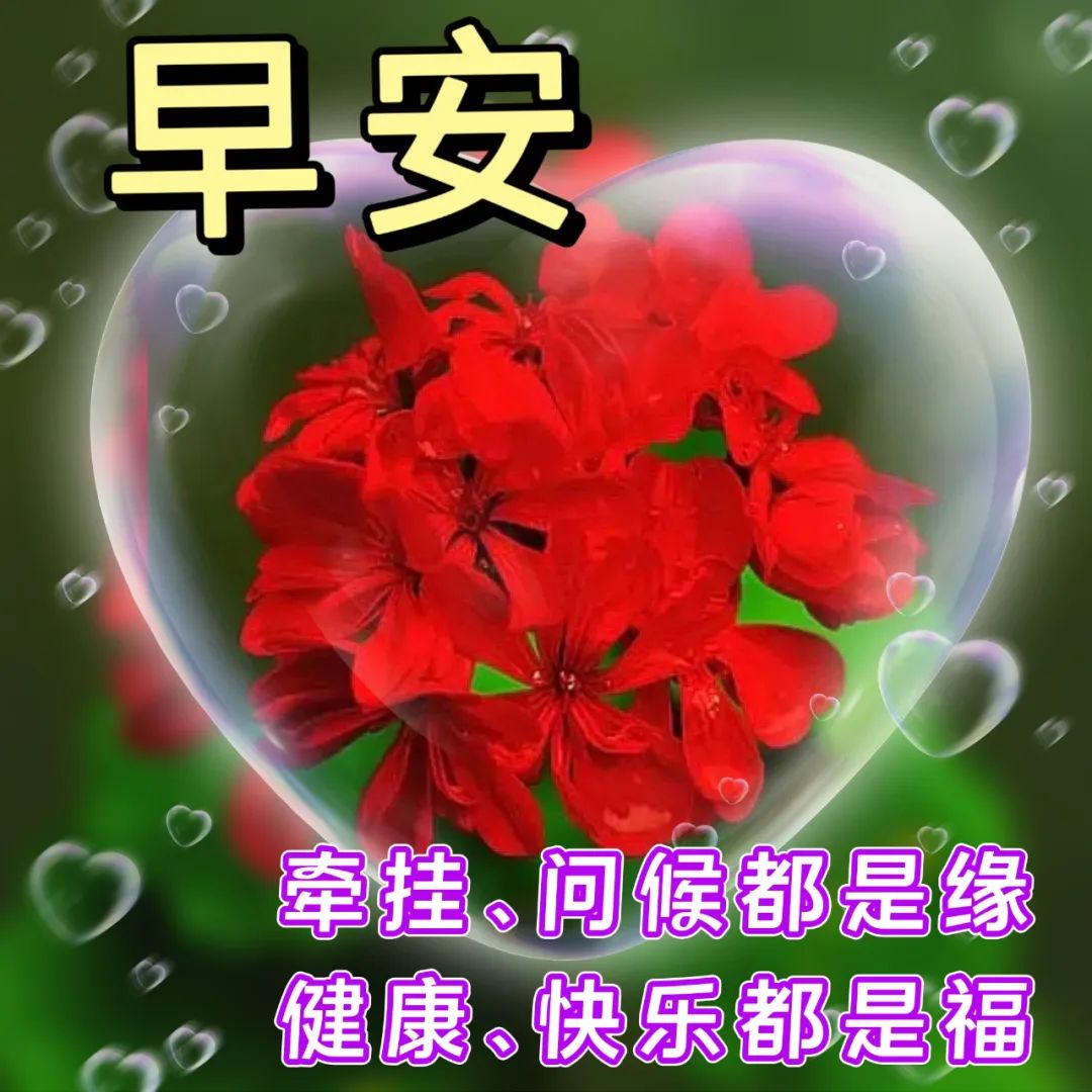 问候语祝福朋友的句子暖心,问候祝福朋友开心快乐的温馨句子