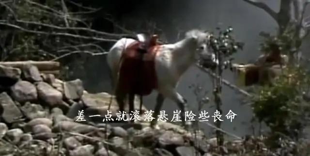 再见白龙马,无相白龙马